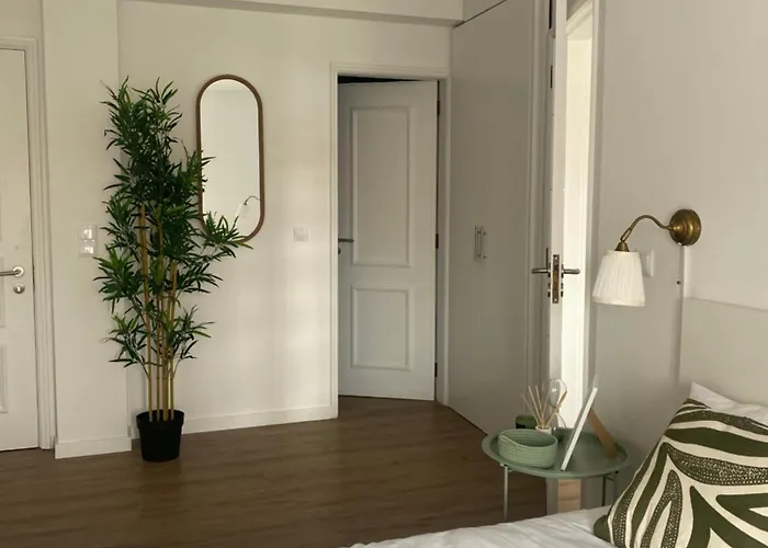 Entre Canais Авейру